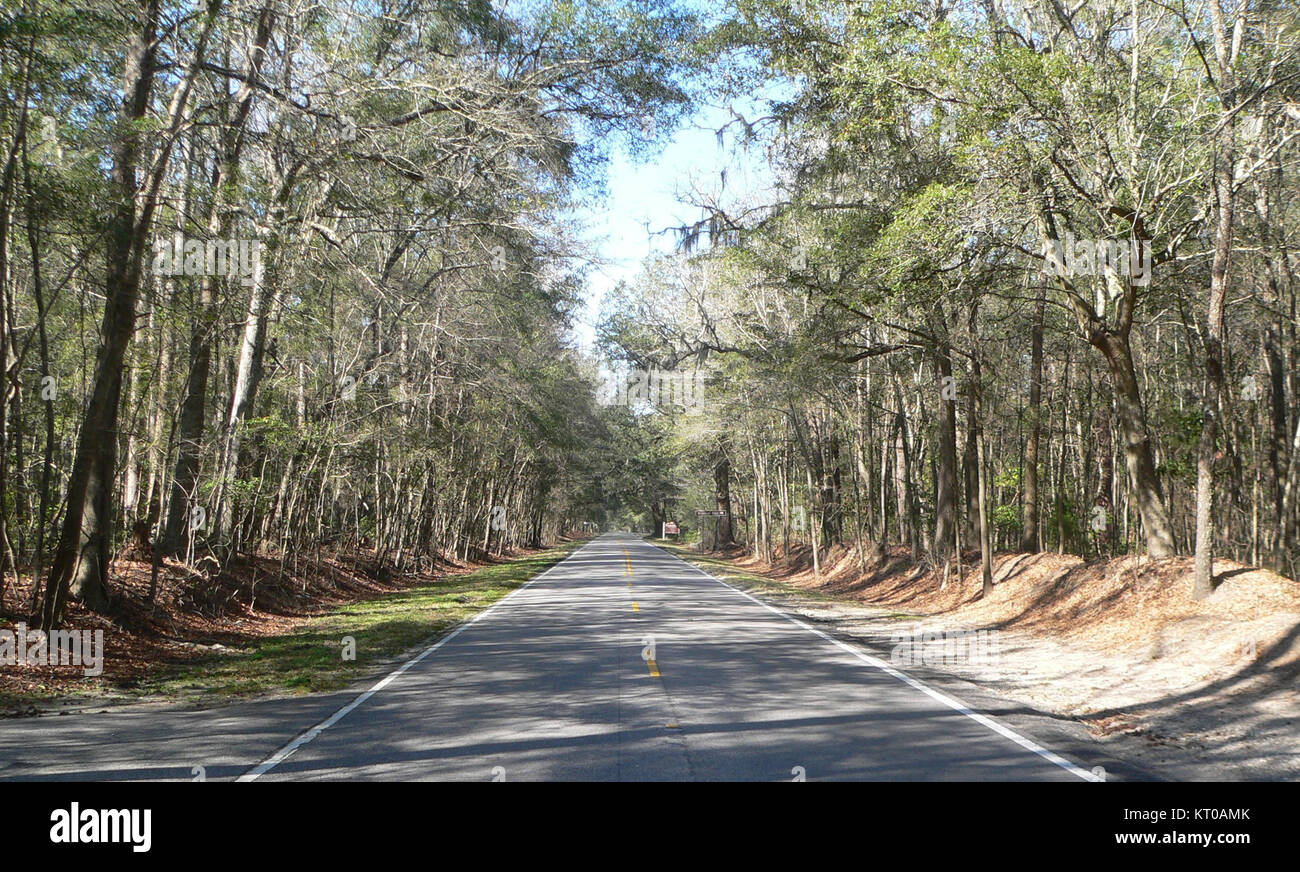 This location, 1.8 miles north of Bees Ferry Road, along Ashley River ...