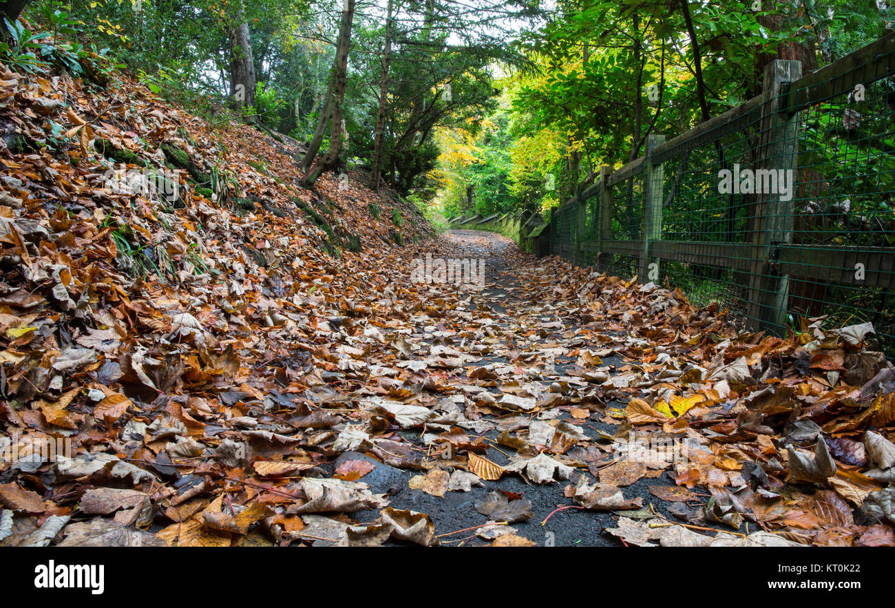 Rouken Glen Park. Glasgow. Stock Photo