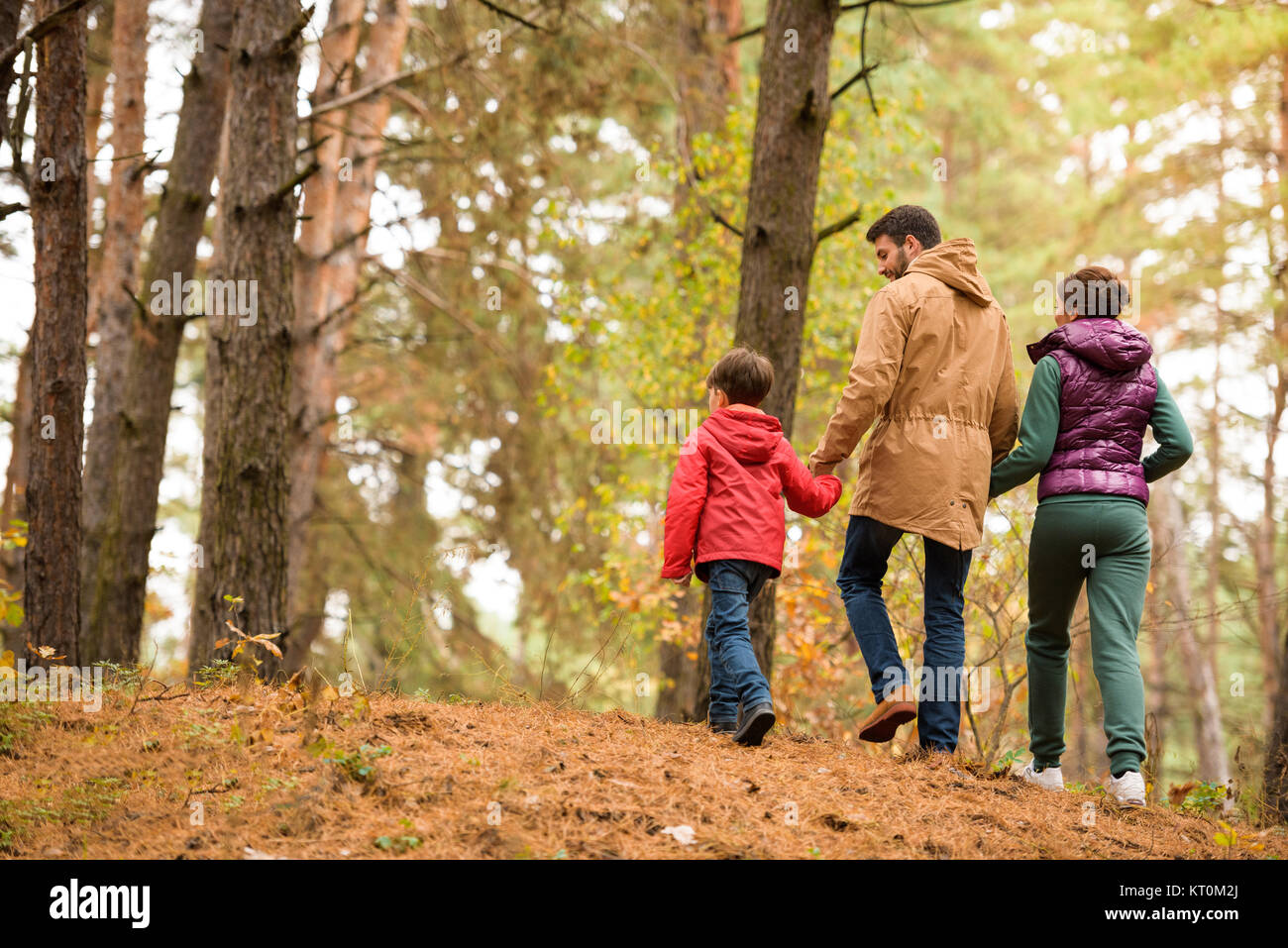 Family walking in autumn forest Stock Photo - Alamy