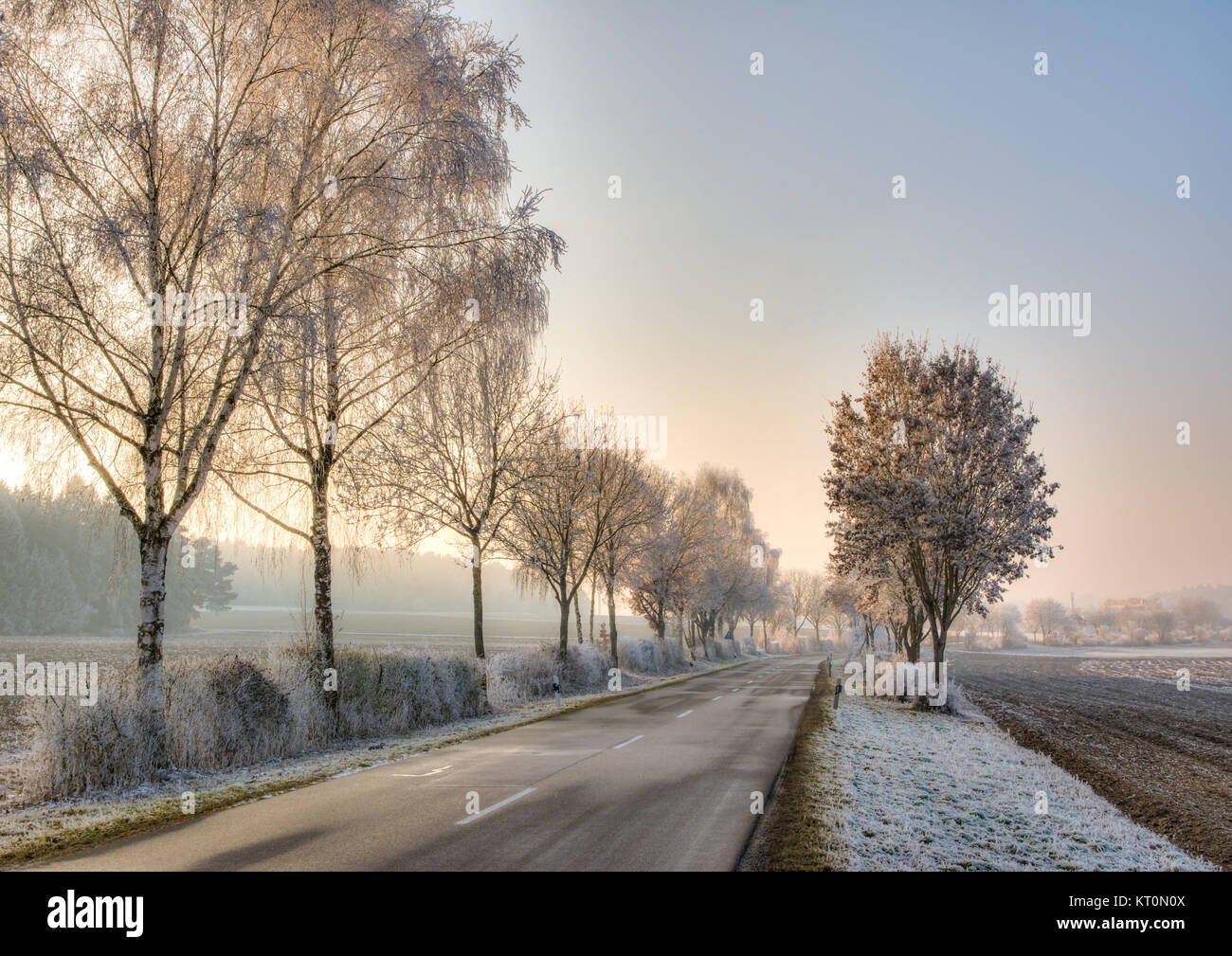 Country road in a winter landscape with frosted trees Stock Photo - Alamy