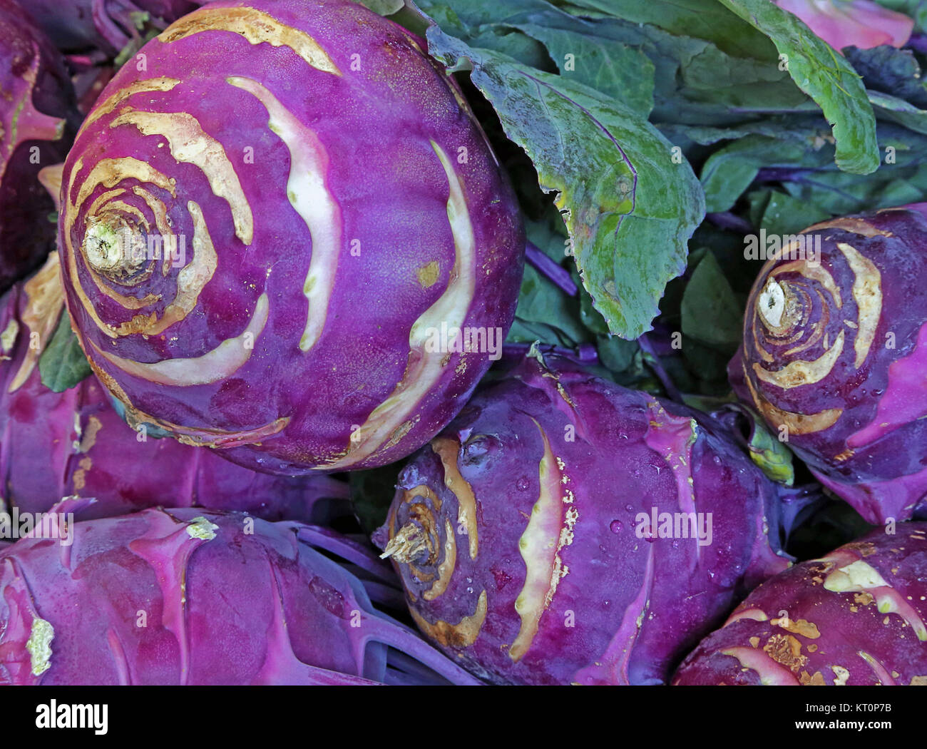 kohlrabi at the market Stock Photo Alamy