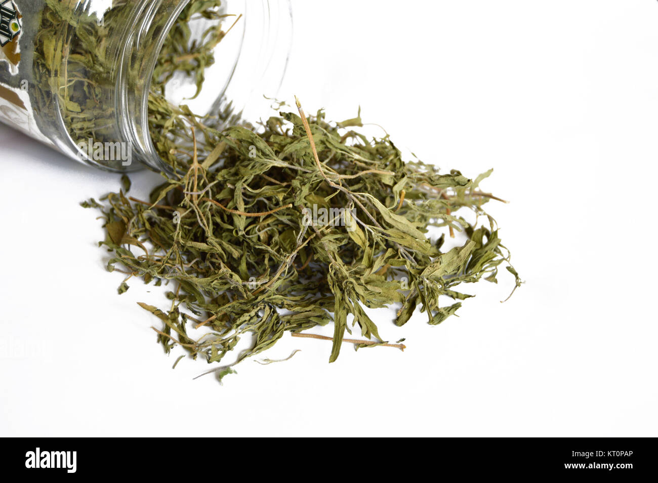 dried thyme fresh pictures Stock Photo Alamy