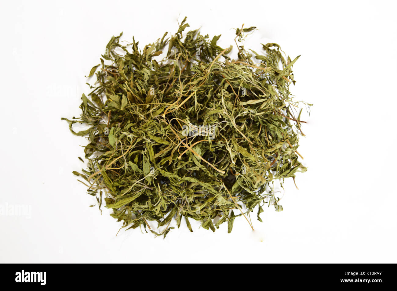 dried thyme fresh pictures Stock Photo