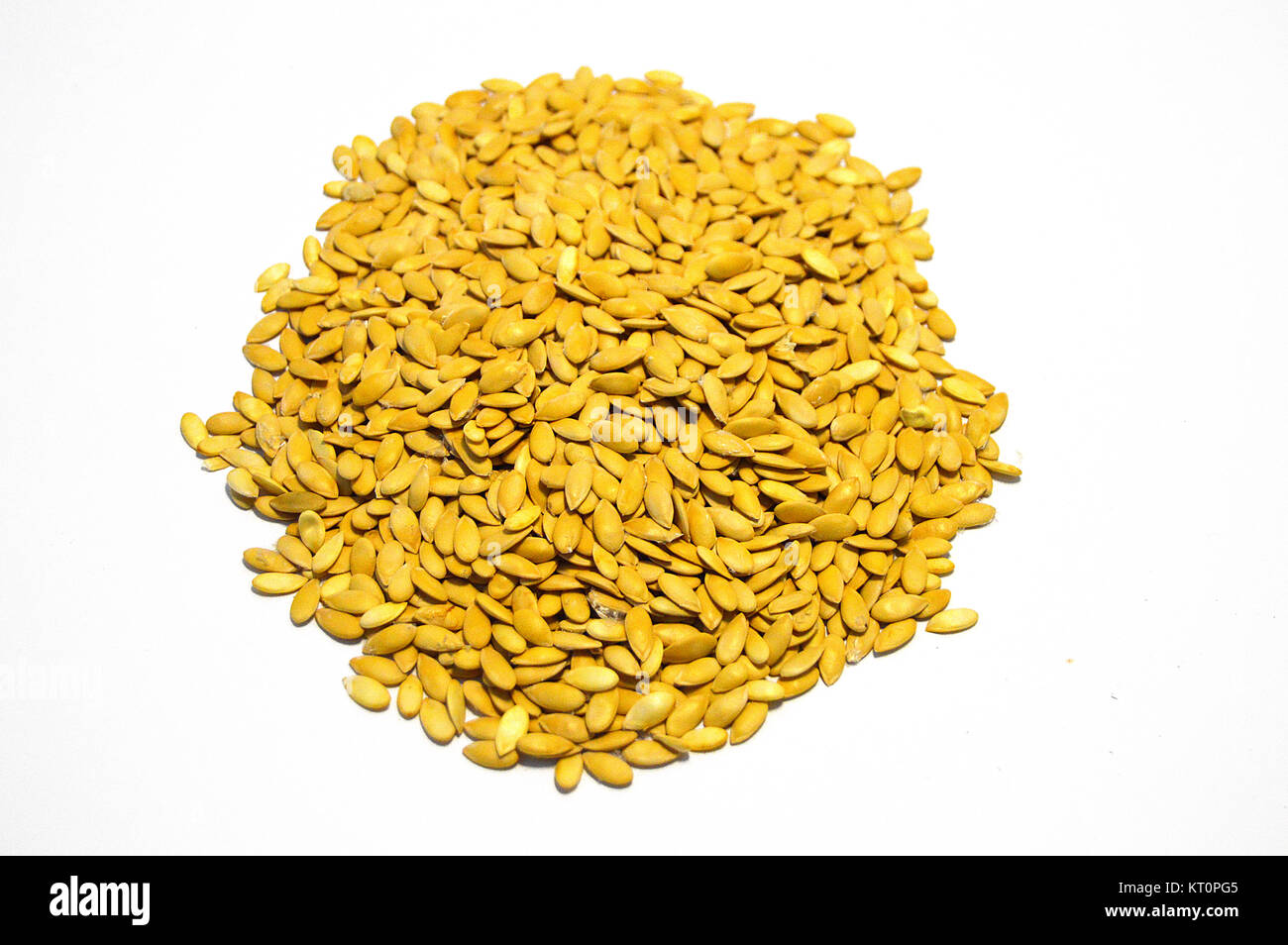 Images of melon seeds for seed and garden sites Stock Photo Alamy