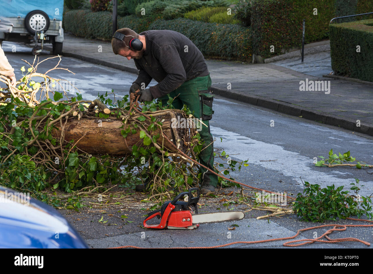Forstarbeiter sägt einen Baumstamm mit einer Kettensäge und professionelle Werkzeug. Stock Photo