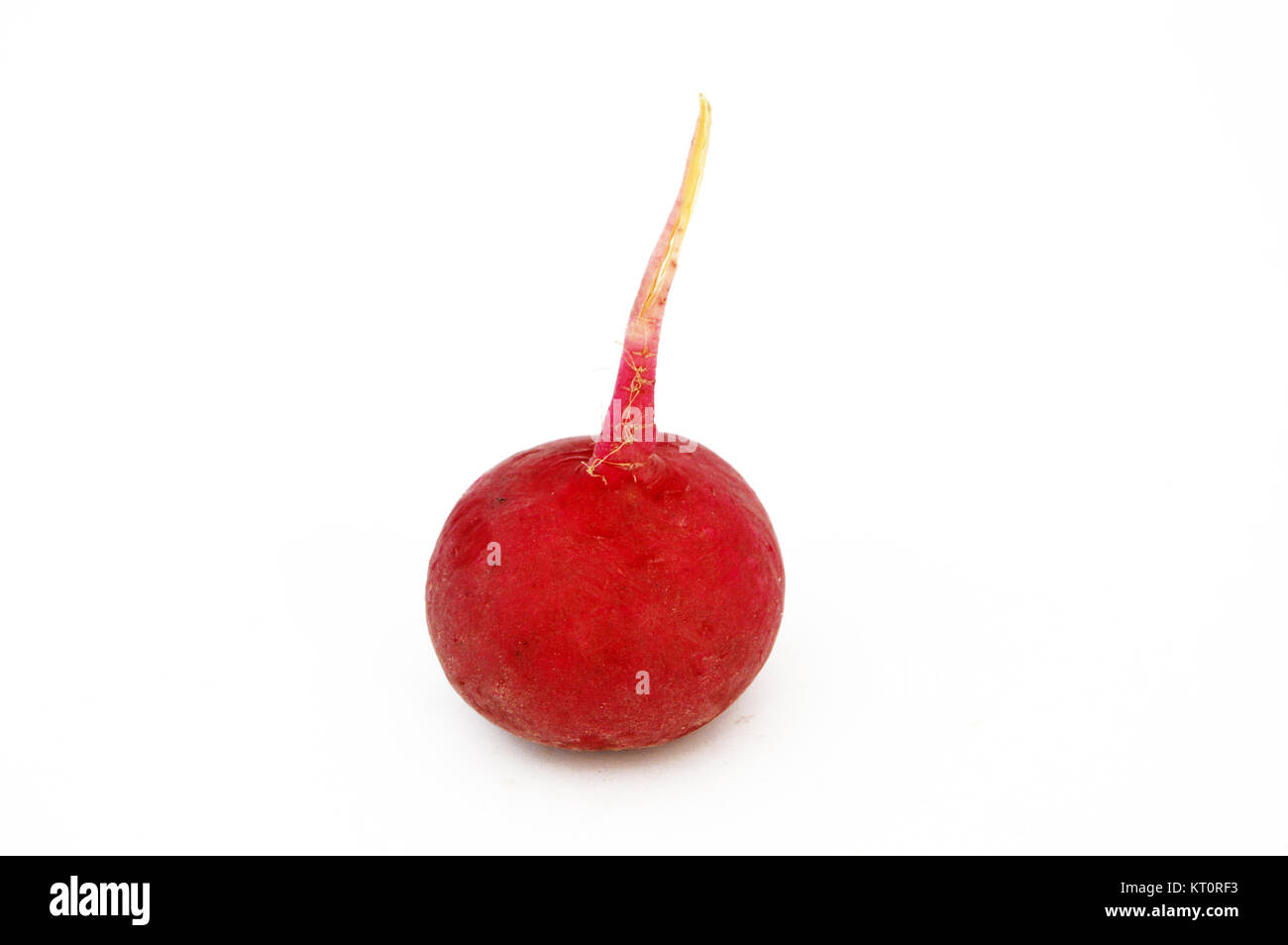 Radish pictures Stock Photo