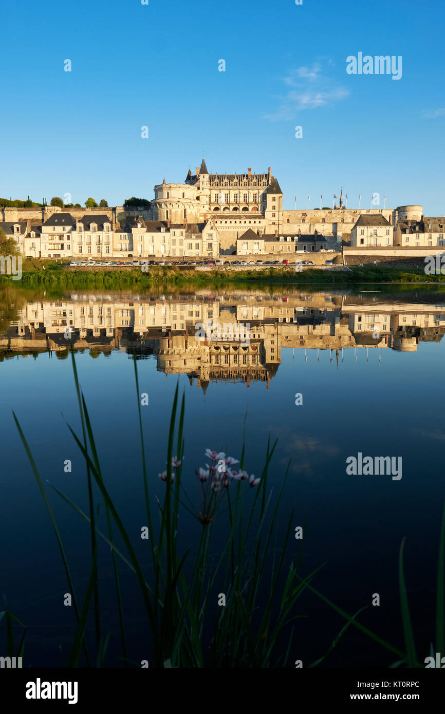 Chateau in amboise hi-res stock photography and images - Alamy