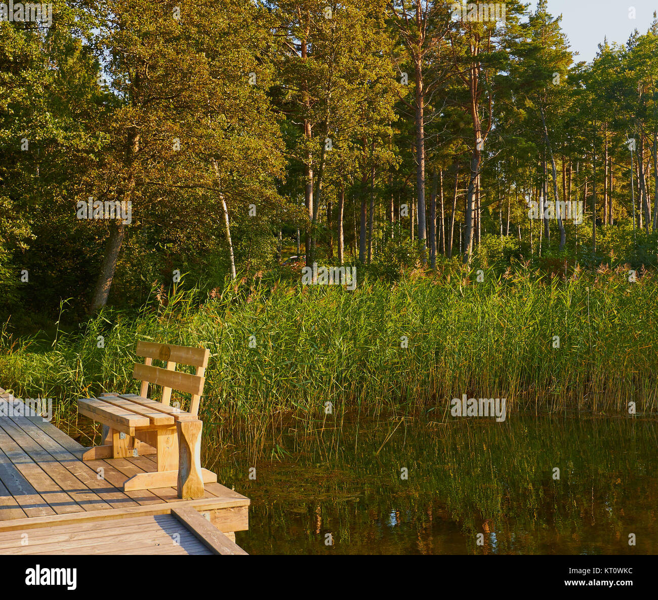 Wooden seat on jetty amongst nature, Sweden, Scandinavia Stock Photo