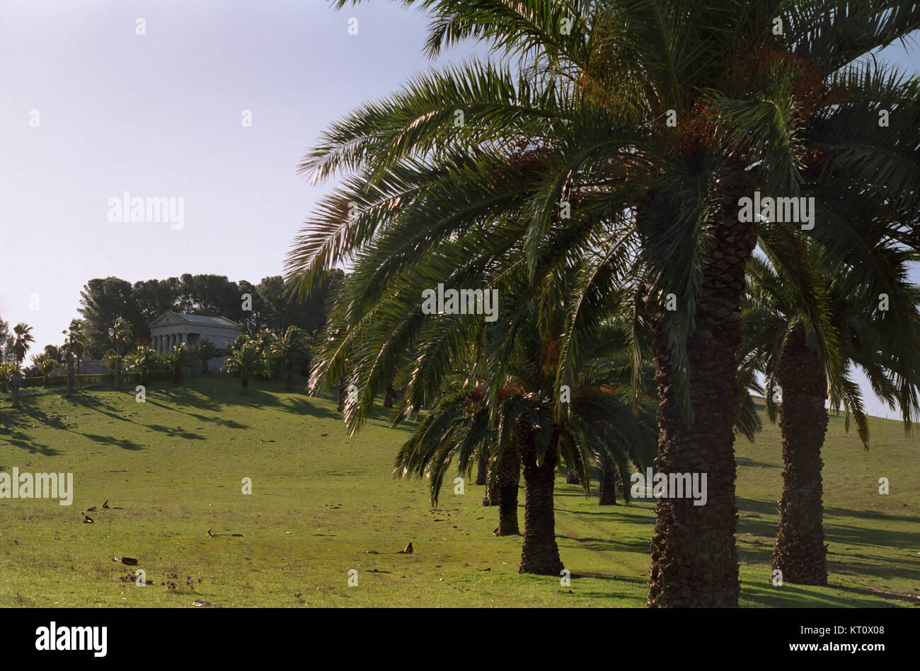 An avenue of palm trees leads to the Seppelt Family Mausoleum, Seppeltsfield, Barossa Valley, South Australia Stock Photo