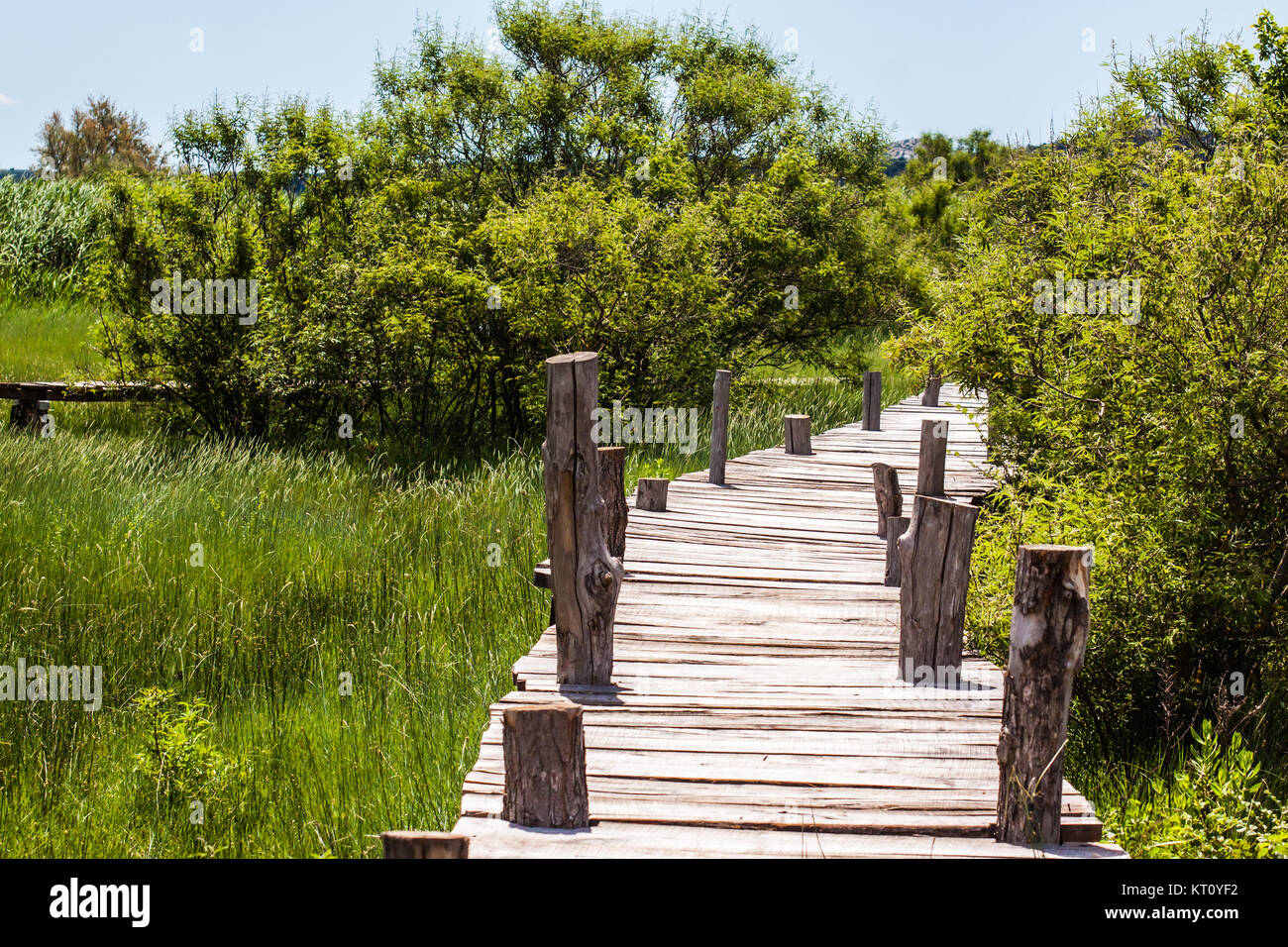 Vrana Lake - ornithological reserve Stock Photo