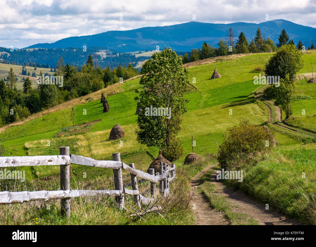 country road through rural hill of Carpathians. haystacks and wooden fence on agricultural field. beautiful autumn landscape with mountain ridge in a  Stock Photo