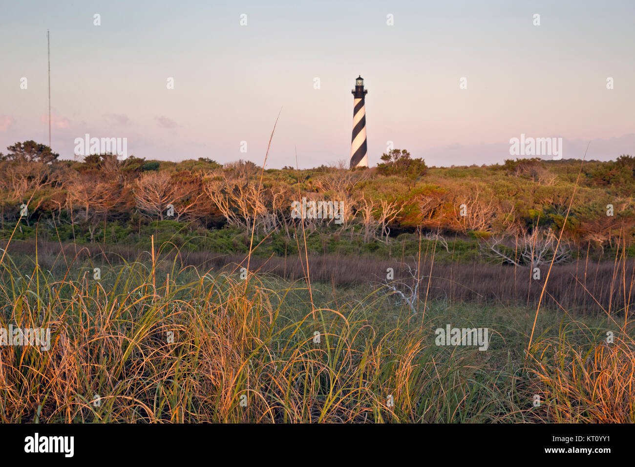 NC0111500...NORTH CAROLINA View of Cape Hatteras Lighthouse from the