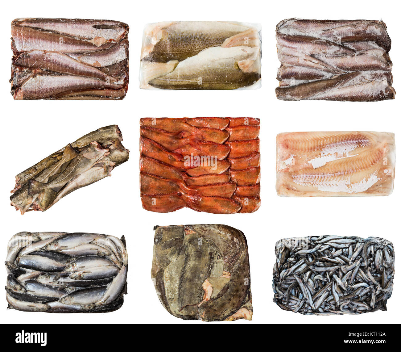 set of a different frozen fish Stock Photo Alamy