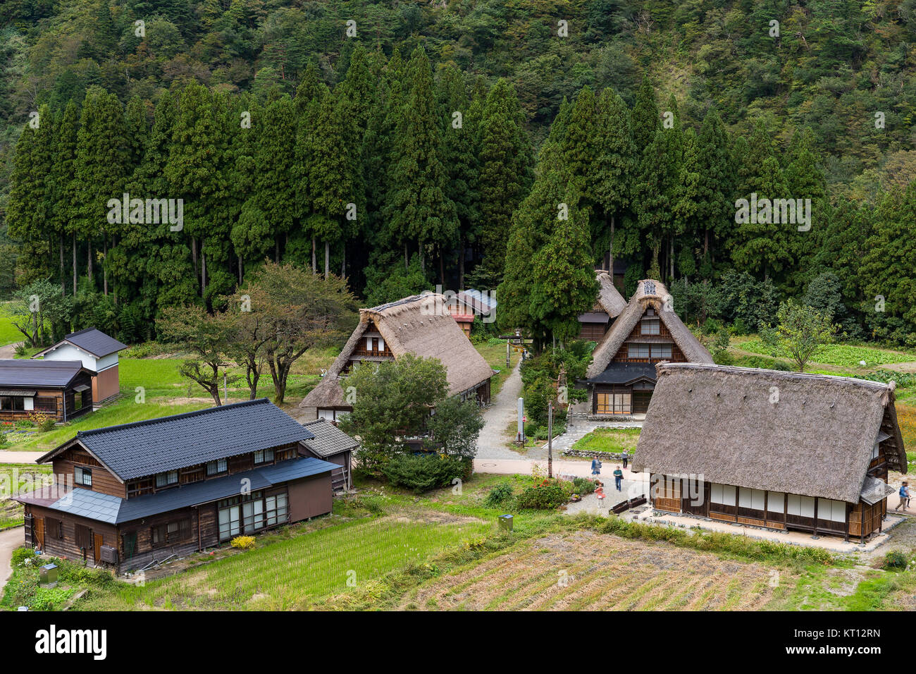 Japanese Old house in Shirakawago Stock Photo Alamy