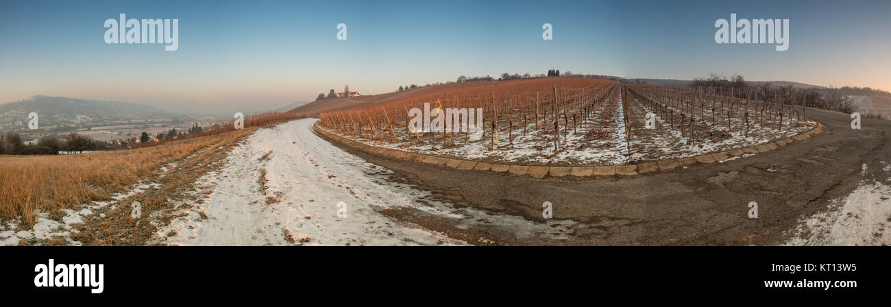 Weinberg und Reben im Winter mit Schnee als Panorama Stock Photo - Alamy