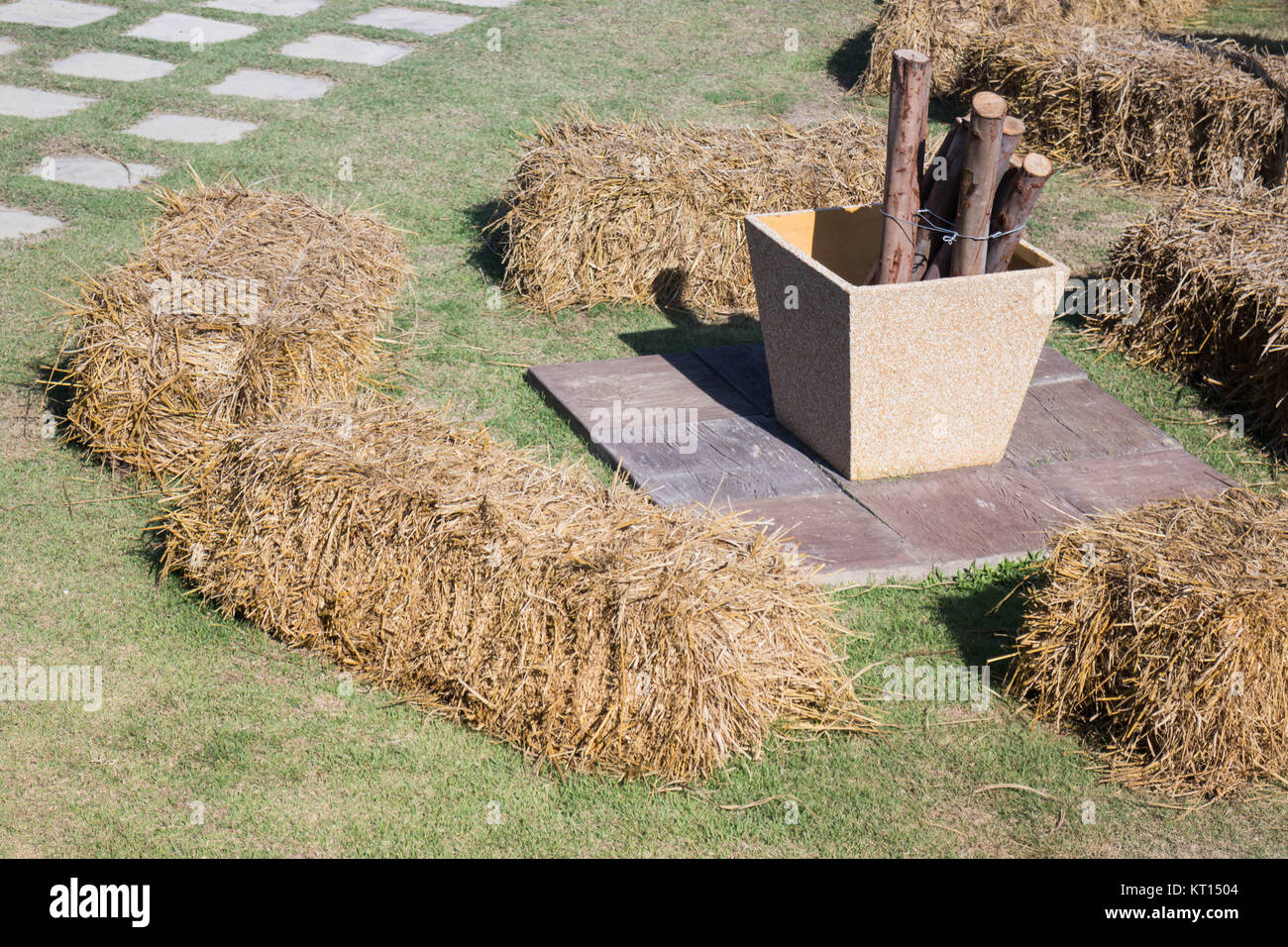 Dry rice straw in the garden Stock Photo Alamy