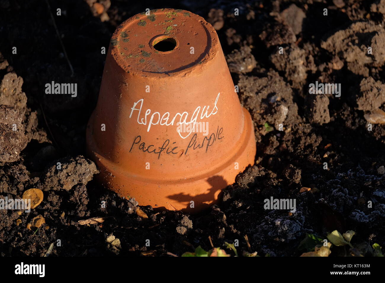 clay pots as markers Stock Photo Alamy