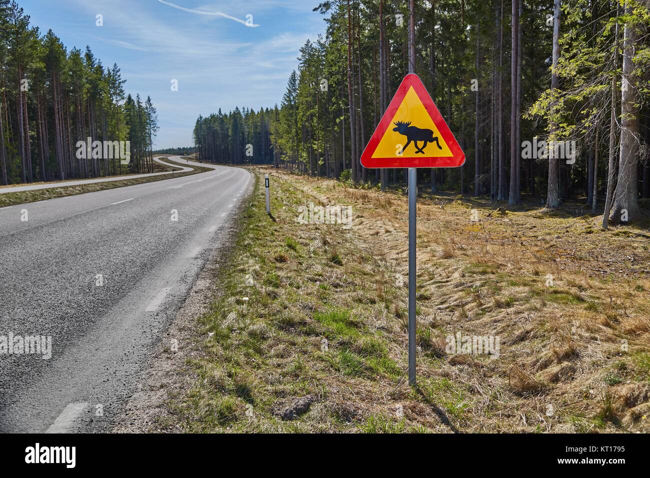 Moose roadsign in Sweden Stock Photo