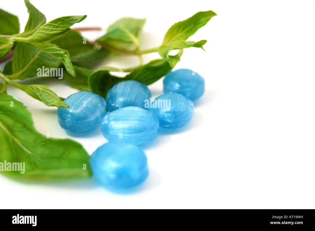 white background mint and peppermint candy Stock Photo - Alamy