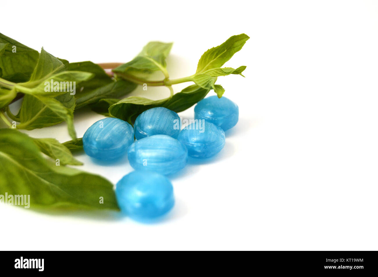white background mint and peppermint candy Stock Photo - Alamy
