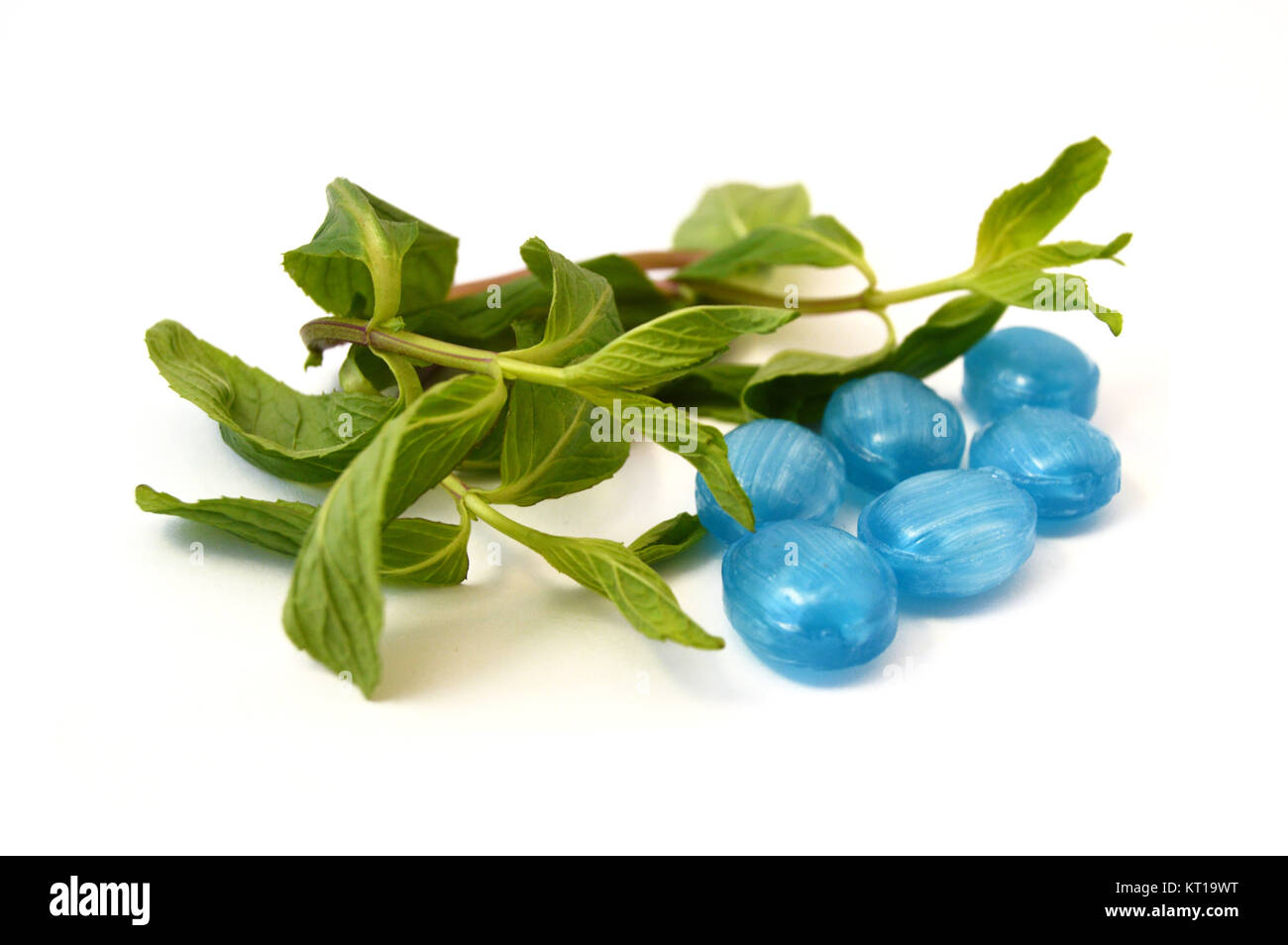 white background mint and peppermint candy Stock Photo - Alamy