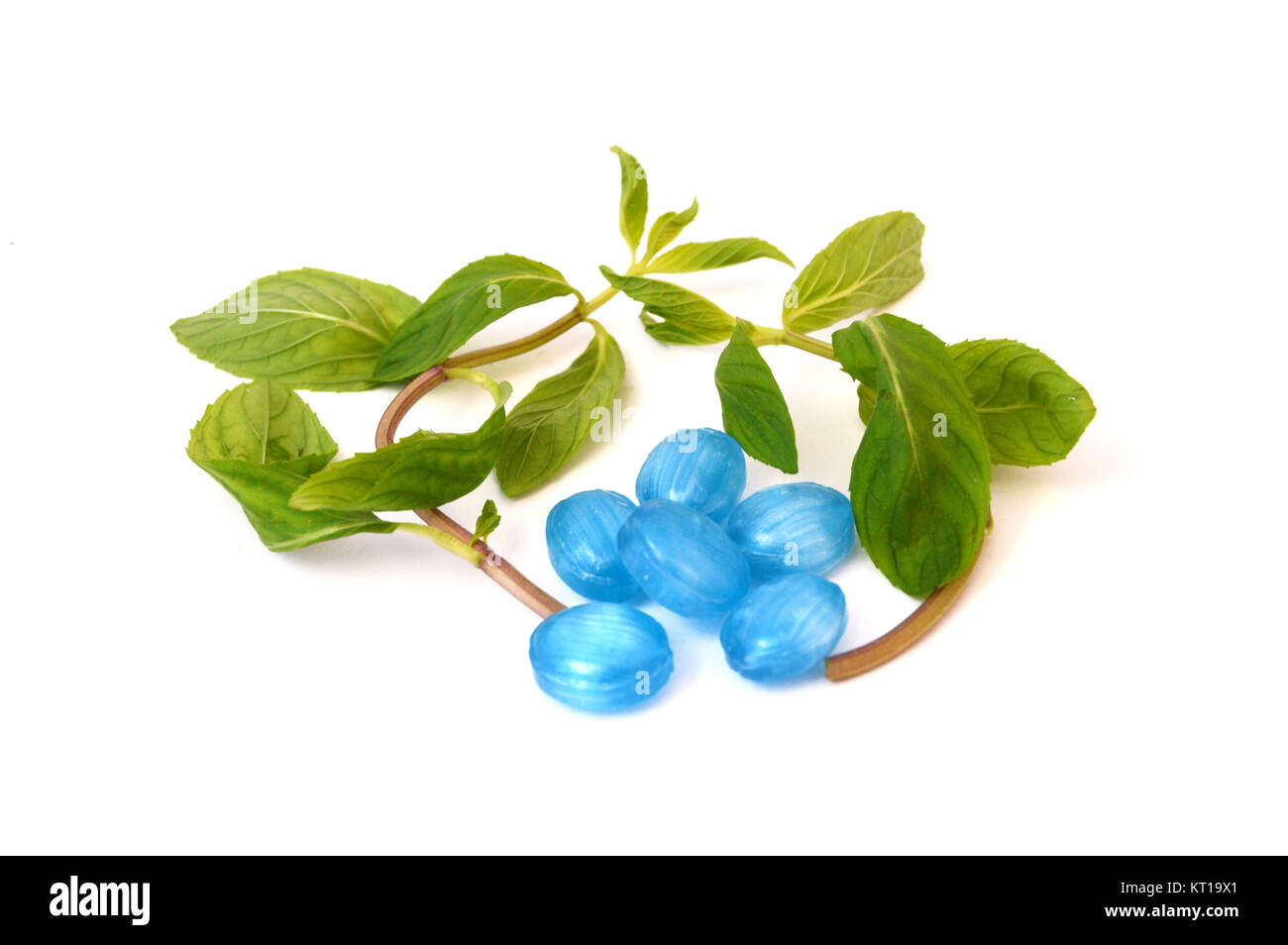 white background mint and peppermint candy Stock Photo - Alamy