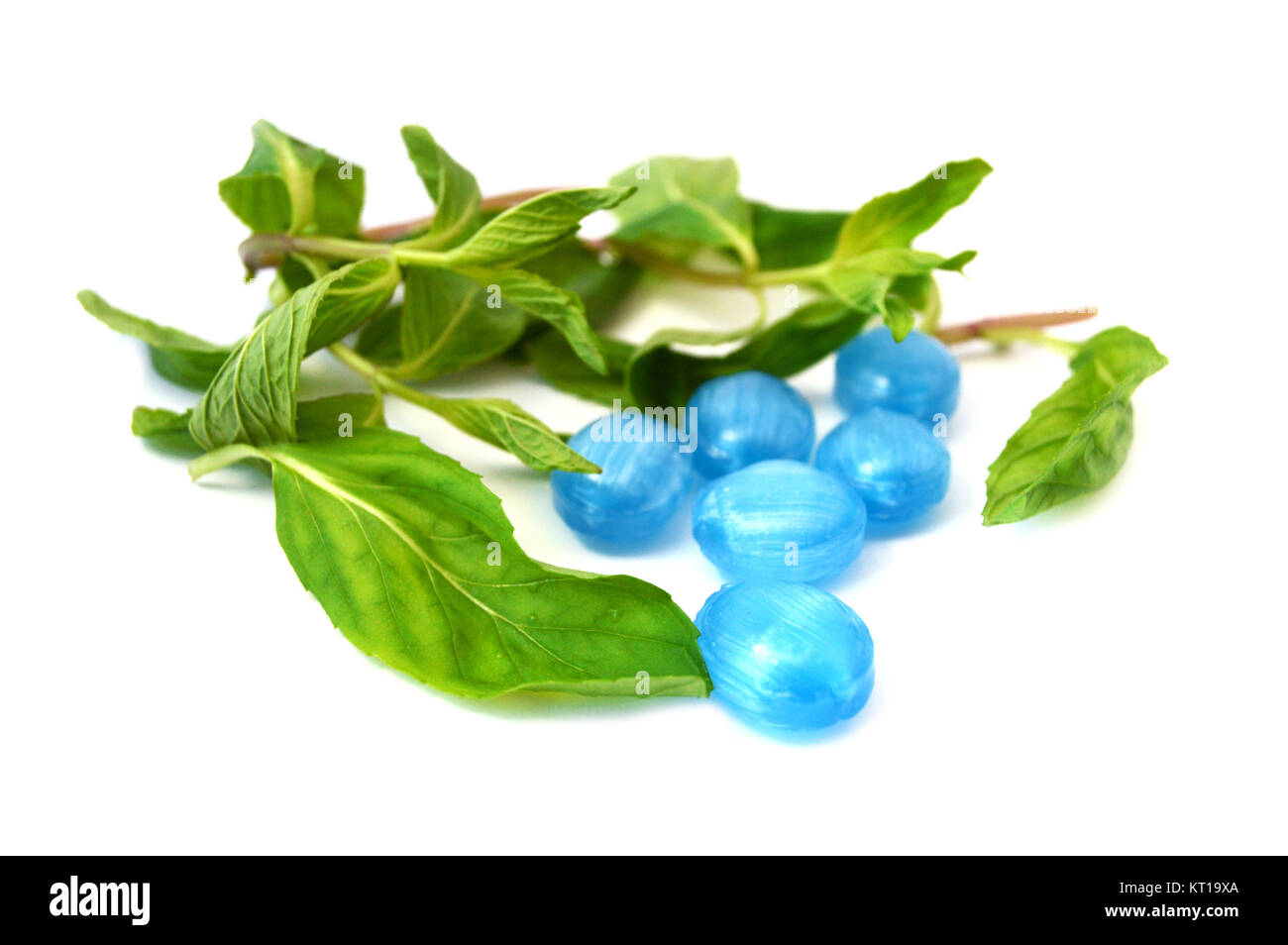 white background mint and peppermint candy Stock Photo - Alamy