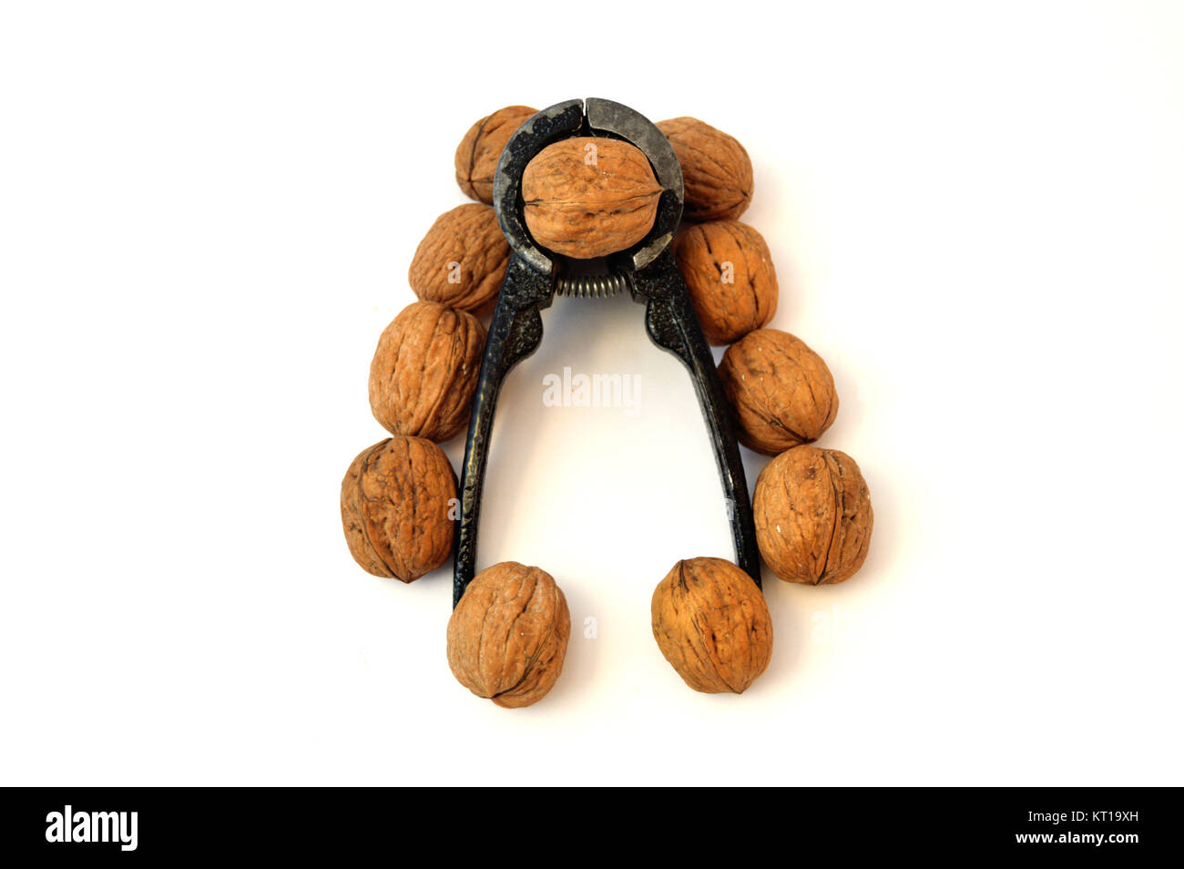 white background walnut pictures Stock Photo