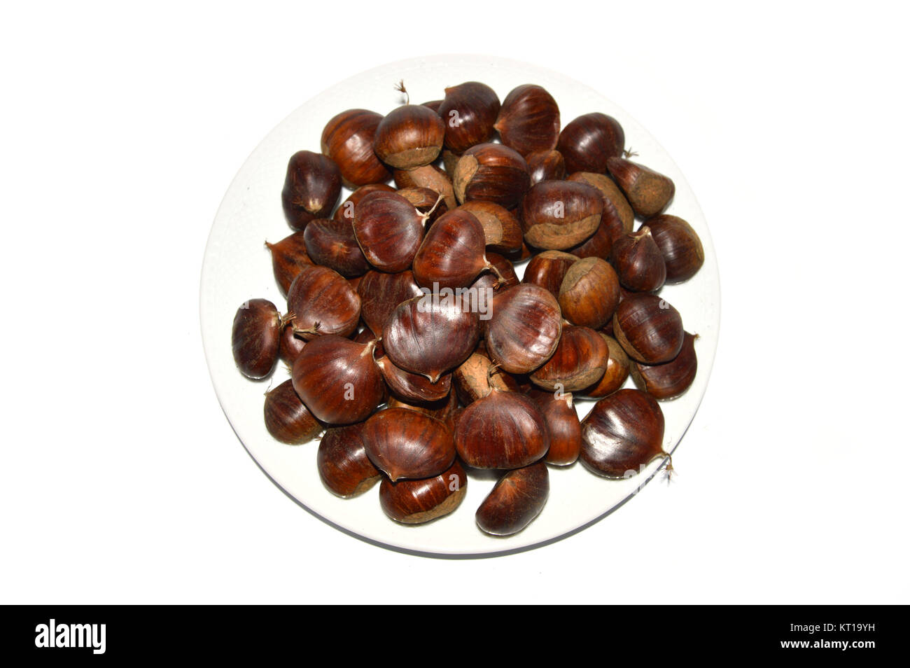 Chestnut pictures Stock Photo