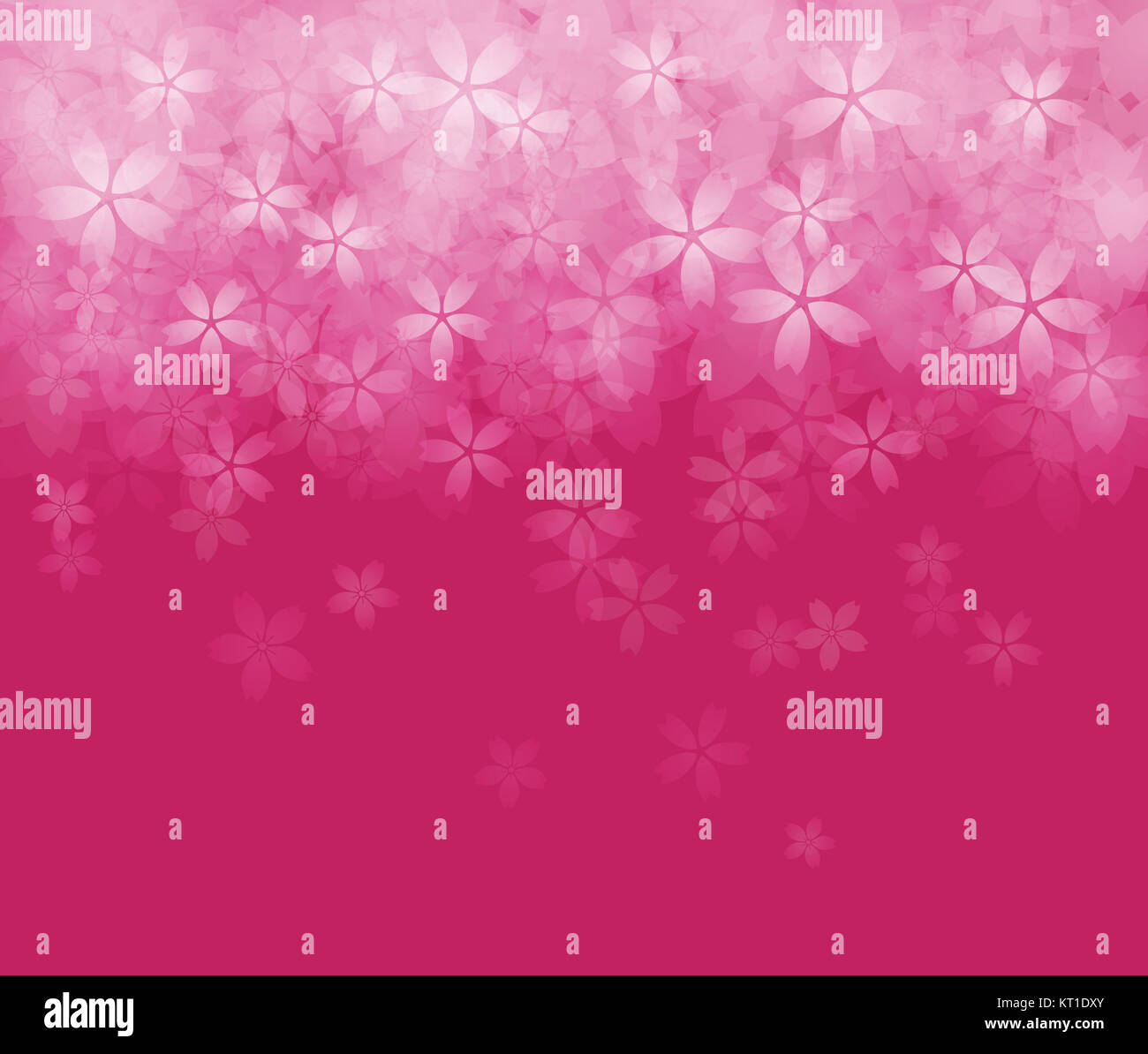 Cherry blossom background image Stock Photo