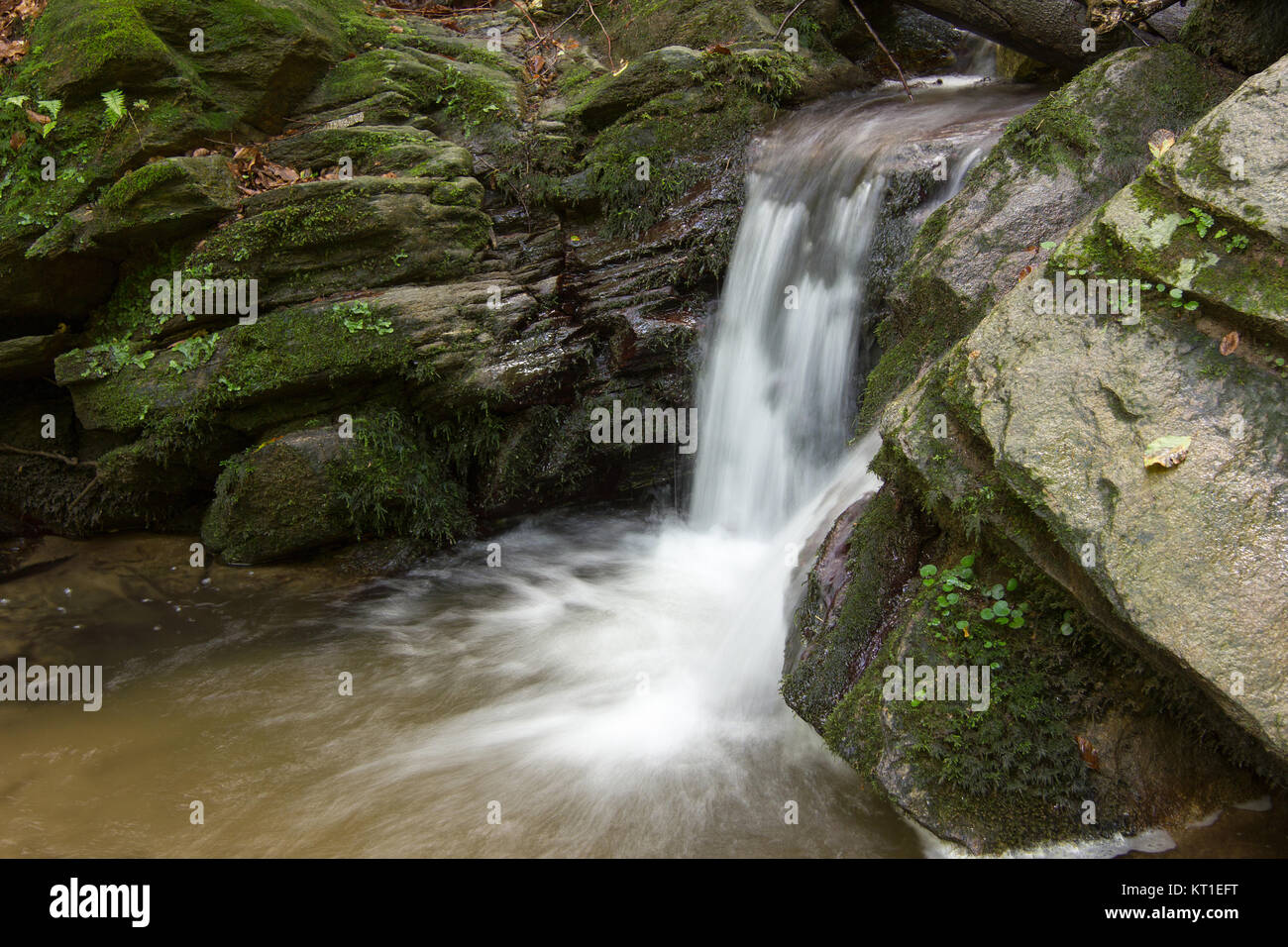 Wasserfall, Wasser, Fels, Felsen, Wasser, Wald, feucht, Steiermark ...