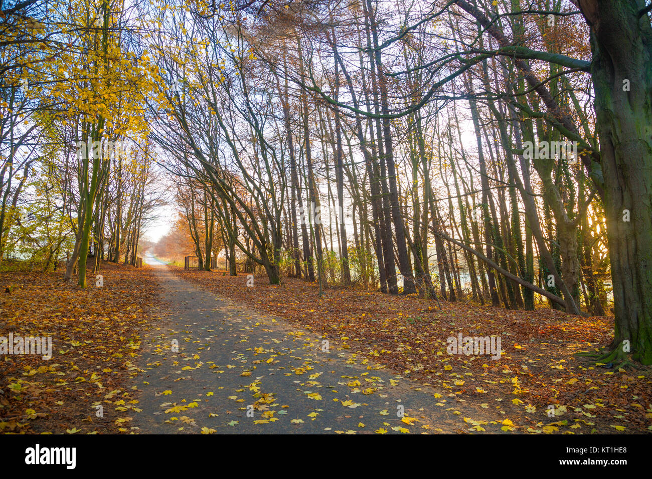 The Fife Coastal Path near Dalgety Bay Fife Scotland Stock Photo Alamy