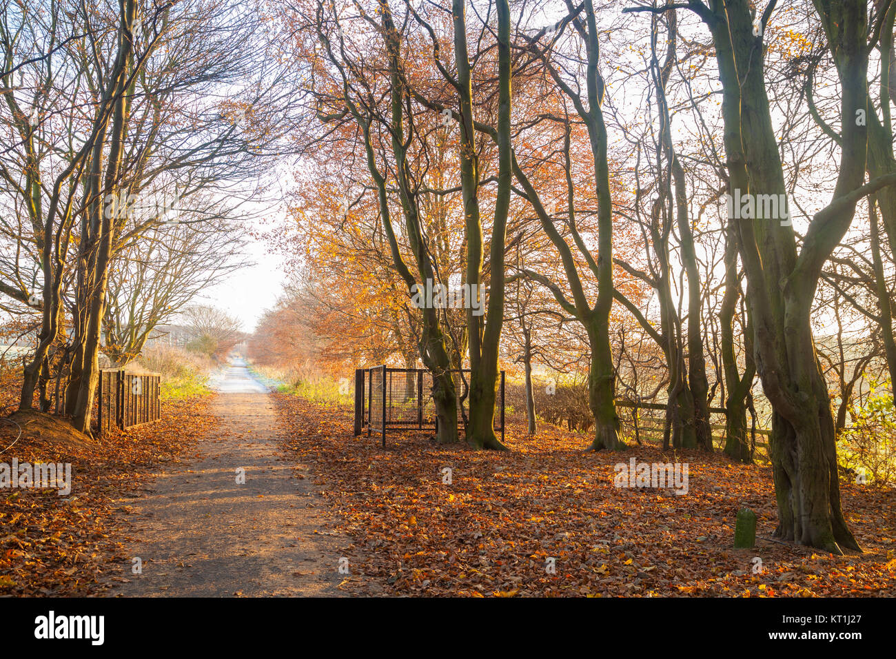 The Fife Coastal Path near Dalgety Bay Fife Scotland Stock Photo Alamy