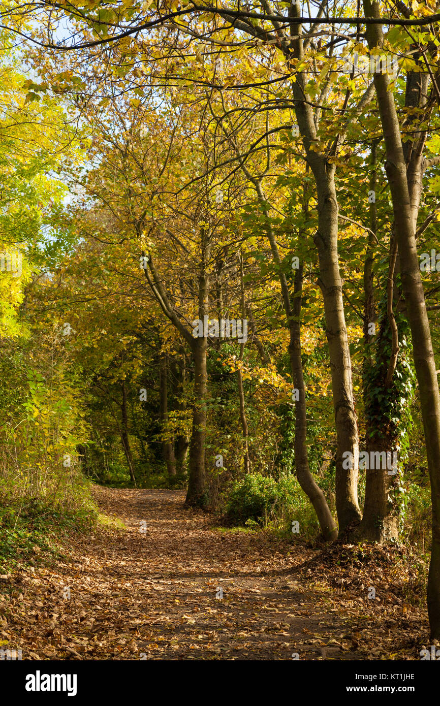 The Fife Coastal Path near Dalgety Bay Fife Scotland Stock Photo Alamy