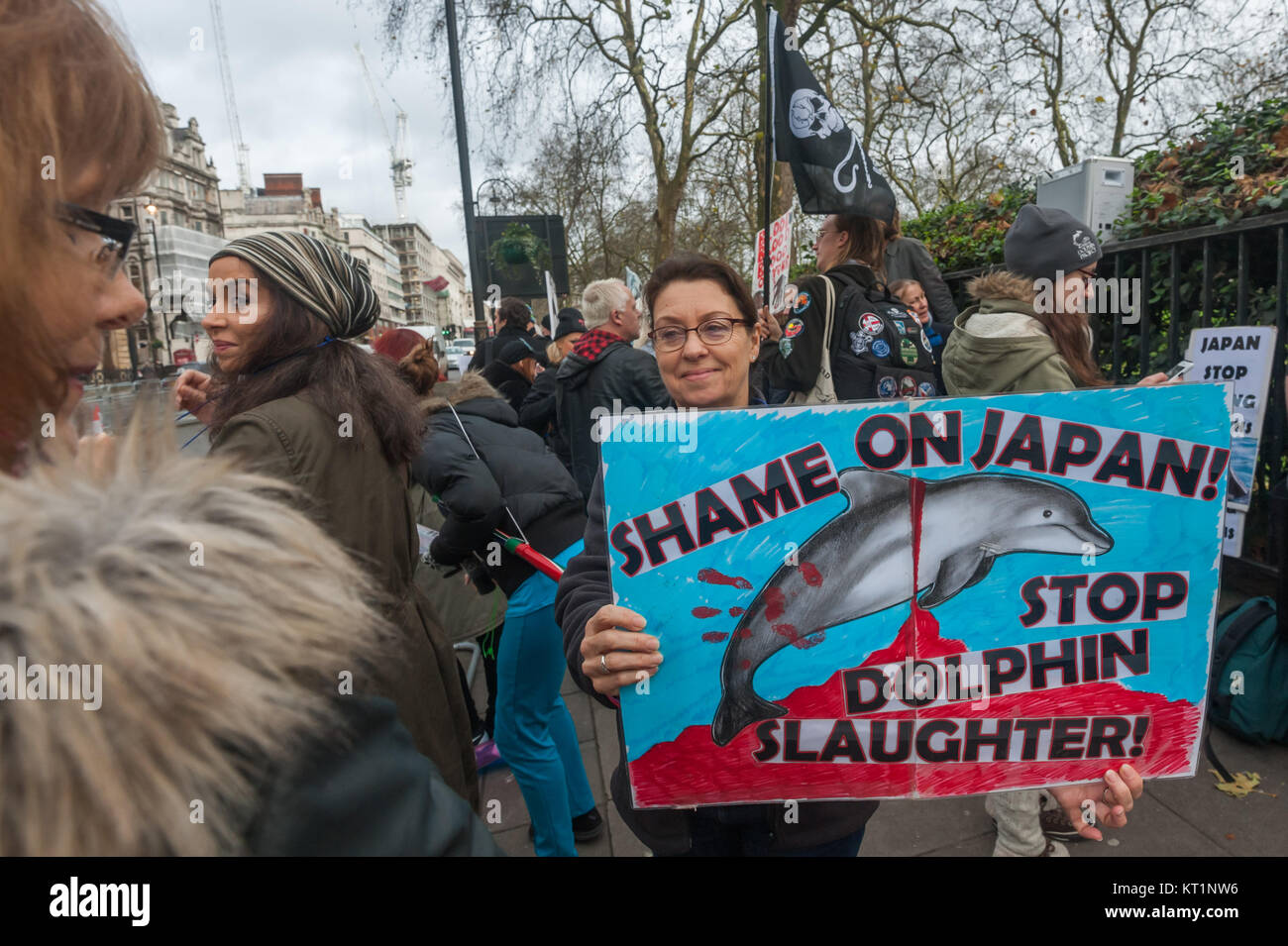 'Shame on Japan - Stop Dolphin Slaughter' reads the placard a woman has brought to the Japanese Embassy in London calling for an end to the brutal wholesale slaughter of dolphins, porpoises and small whales in Taiji Cove in Japan. Stock Photo