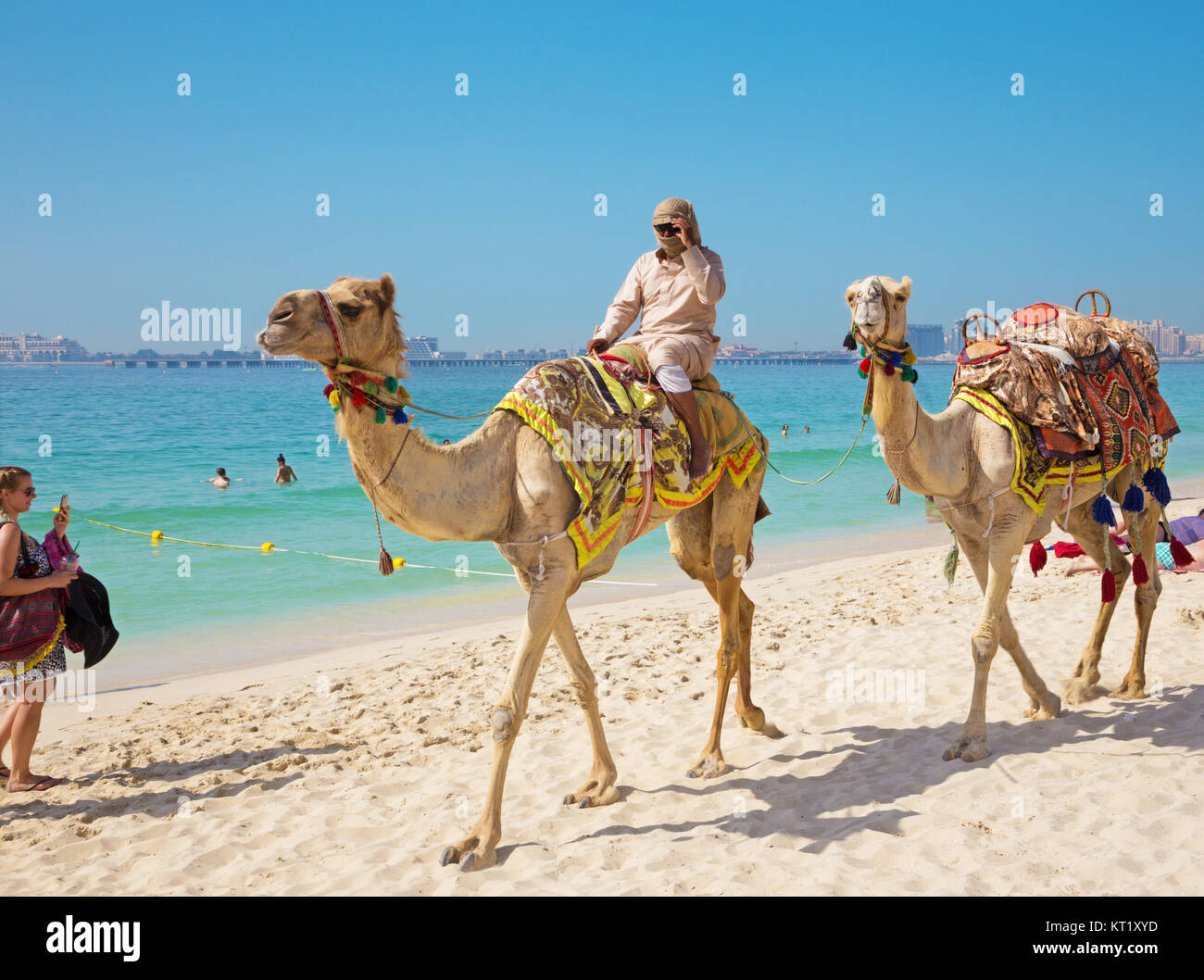 DUBAI, UAE - MARCH 28, 2017: The camels on the beach. Stock Photo