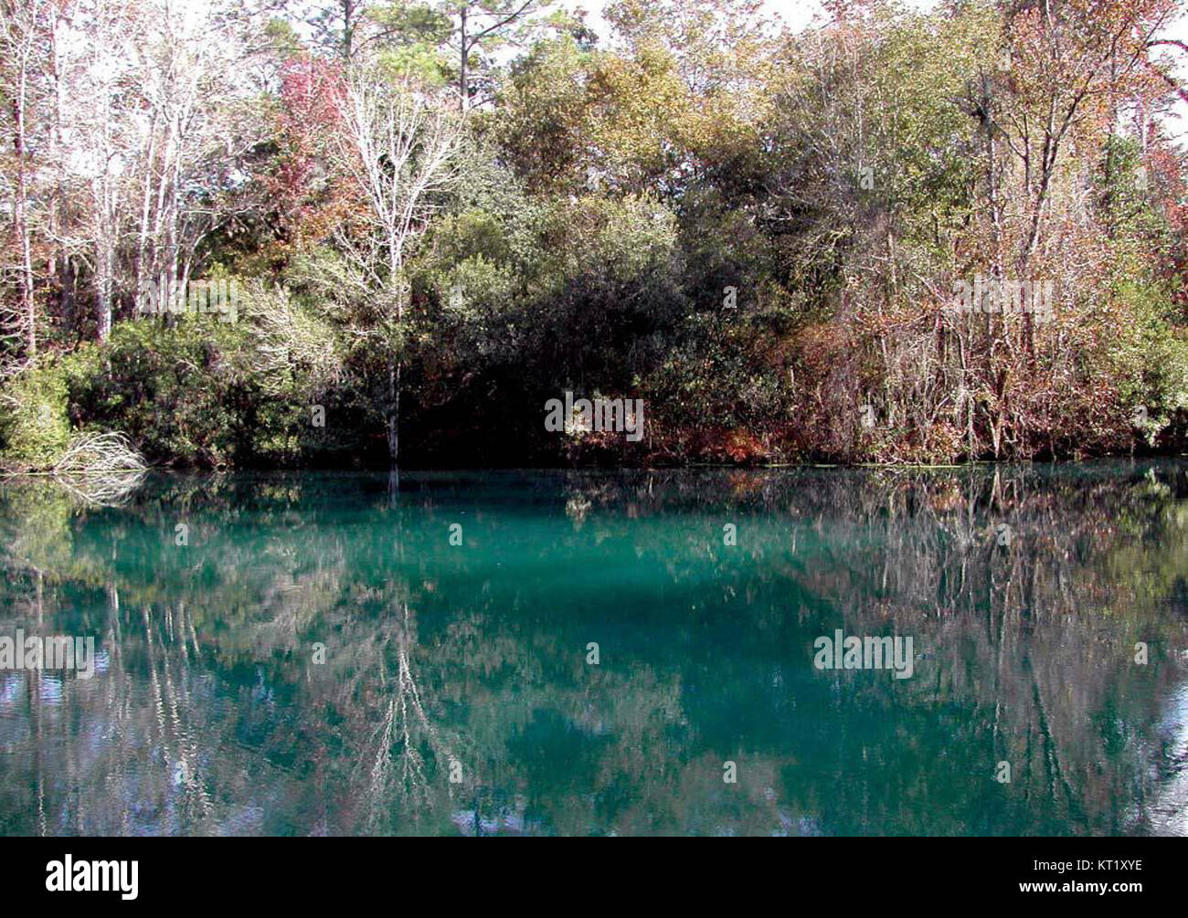 Spring Feature Geography FlBeecherSpring likely refers to a natural spring, possibly named after ...
