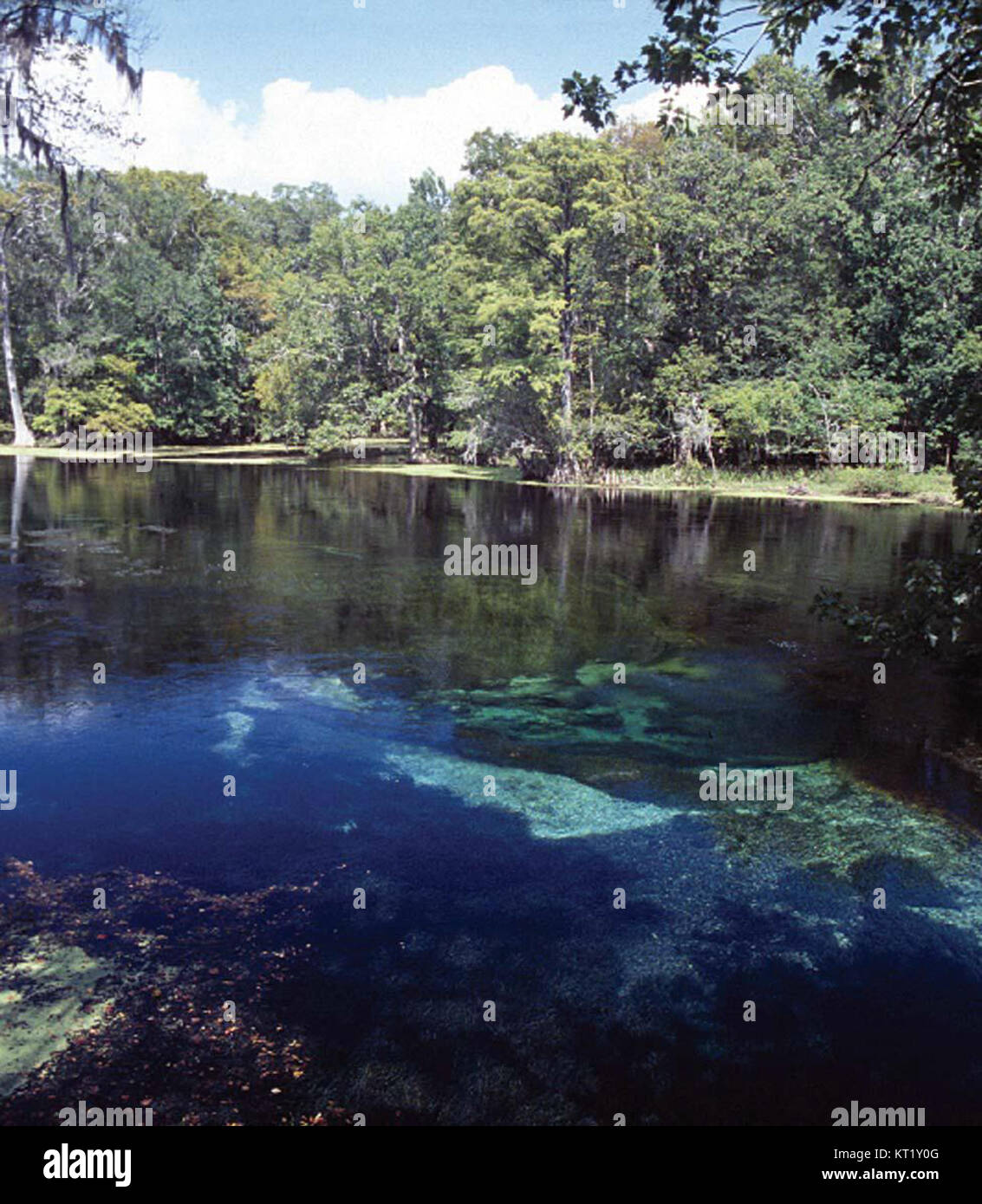 Devil's Ear Spring is a natural spring known for its unique formation ...