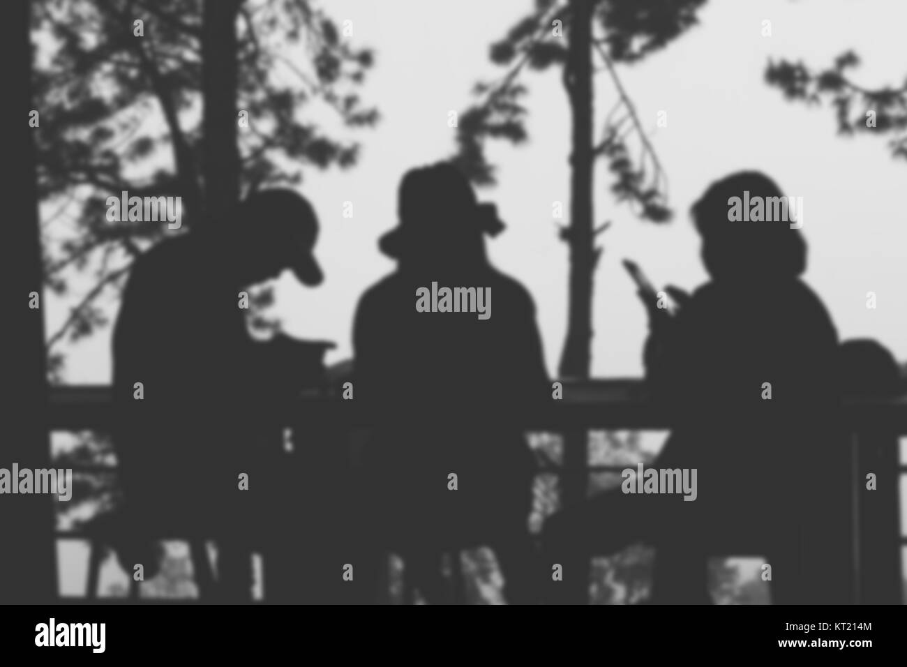 silhouette of man and woman sit in cafe near pine tree. cofee shop in forest in mist & fog. people, lifestyle concept. blur background Stock Photo