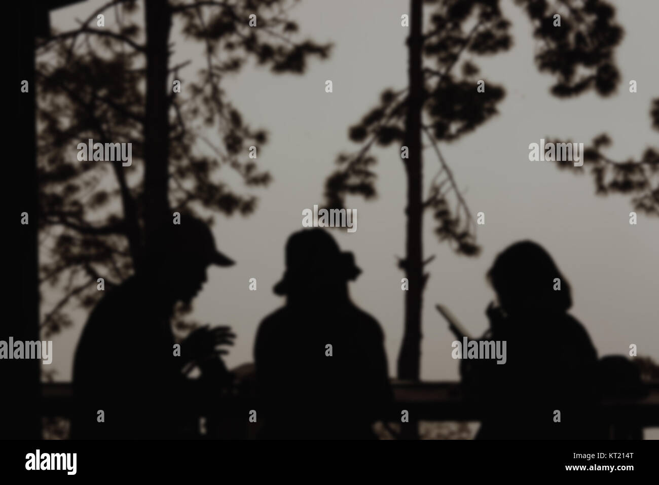 silhouette of man and woman sit in cafe near pine tree. cofee shop in forest in mist & fog. people, lifestyle concept. blur background Stock Photo