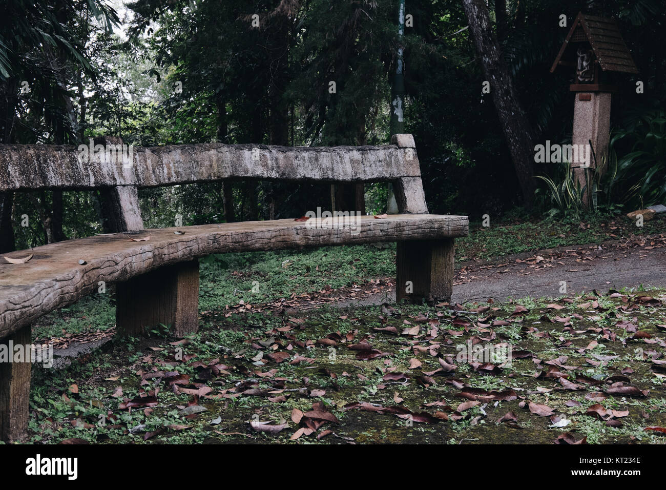 Garden Furniture Made From Wooden Log Timber Chair In Park Wood