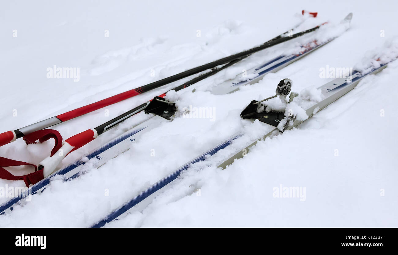Skis and ski poles in the snow. Stock Photo