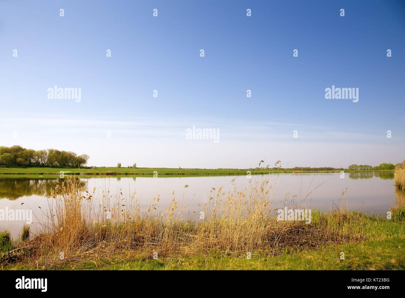 A large beautiful lake, with banks overgrown with reeds. Stock Photo