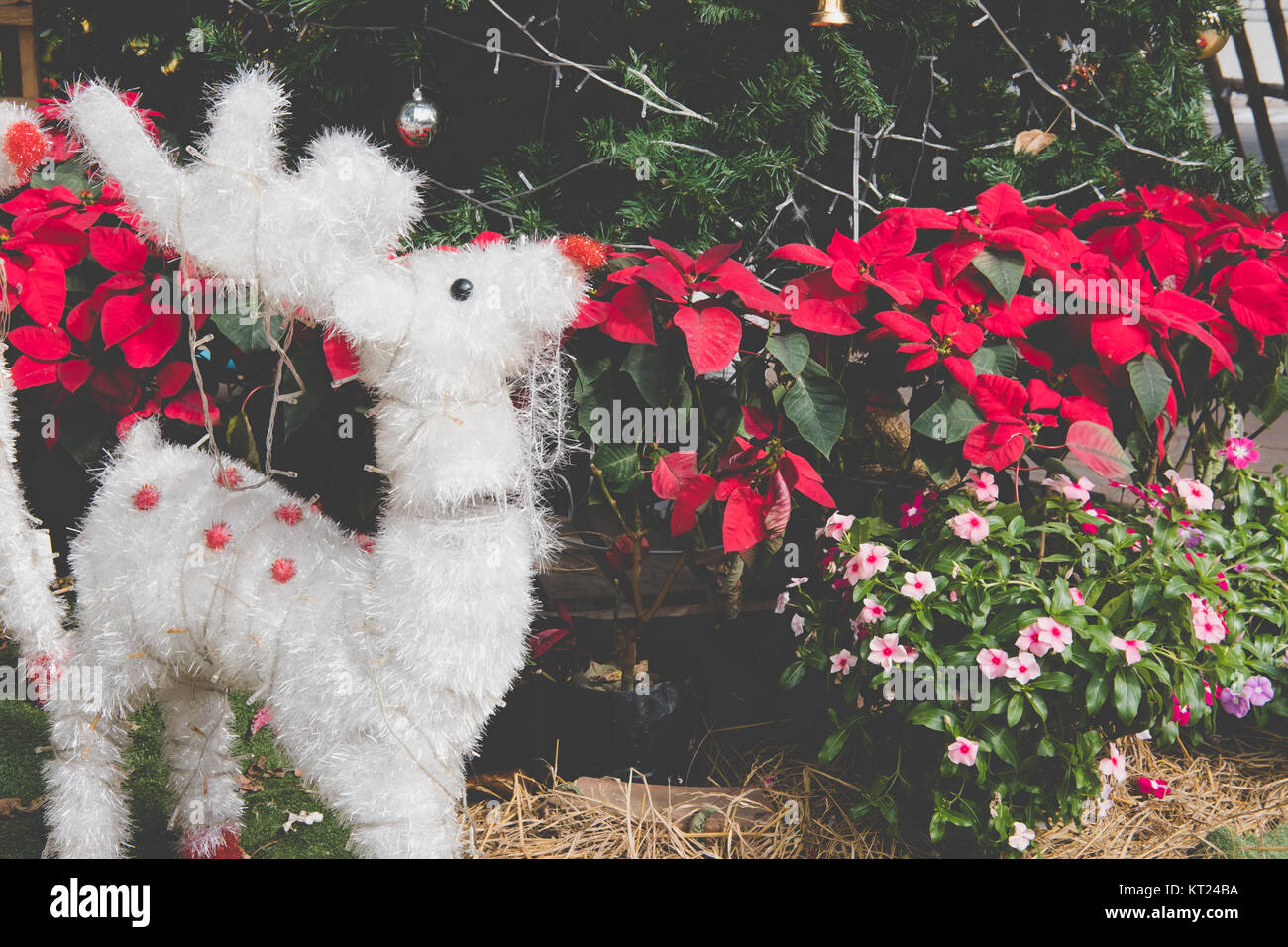 white christmas reindeer. xmas holiday celebration concept. season