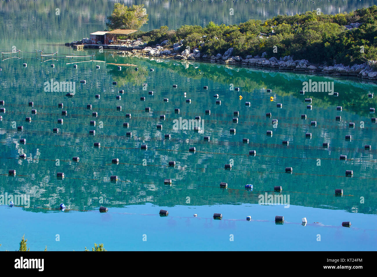 Croatia, Ston oyster, mussels farm Stock Photo Alamy