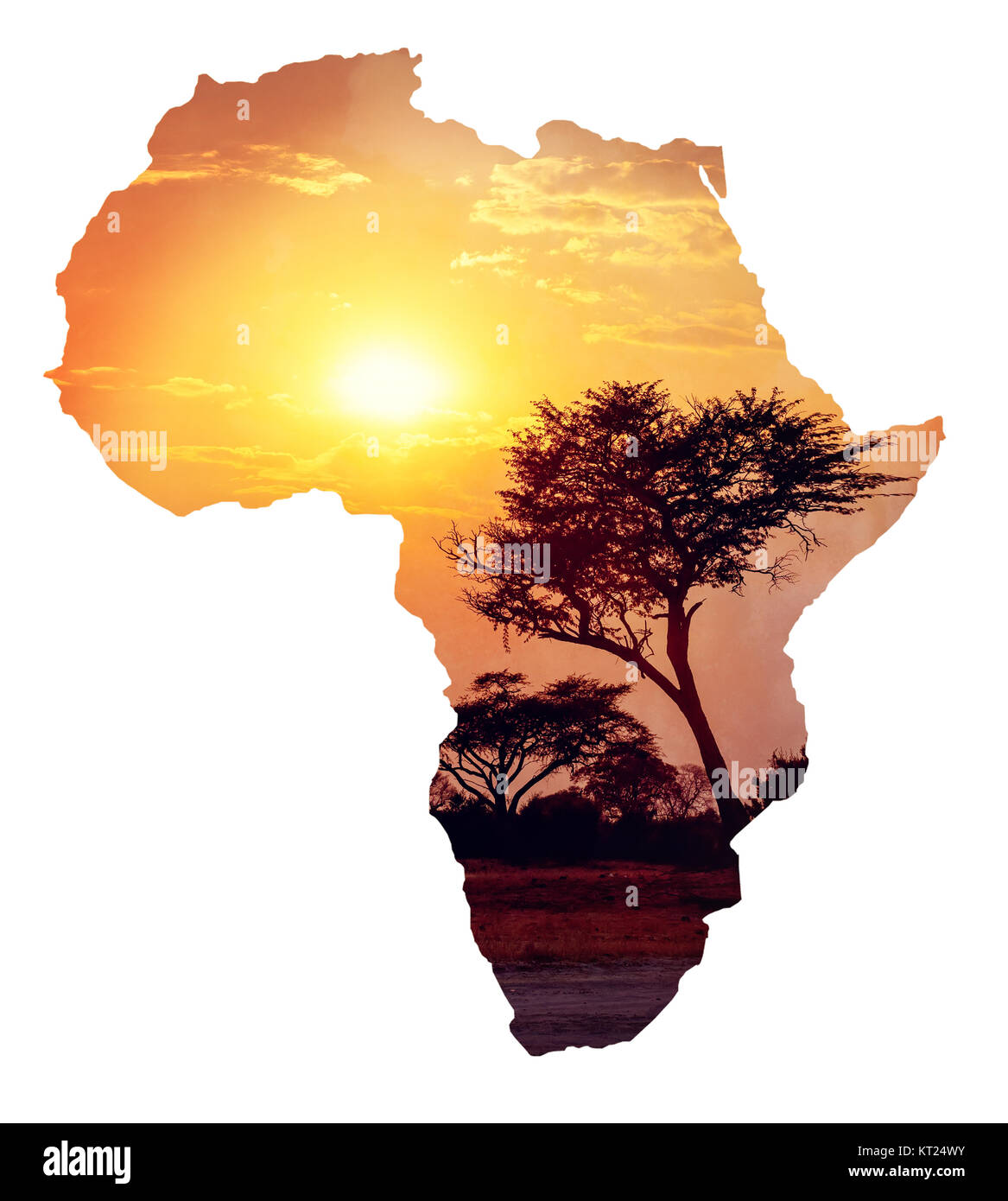 African sunset with acacia, Map of africa concept Stock Photo
