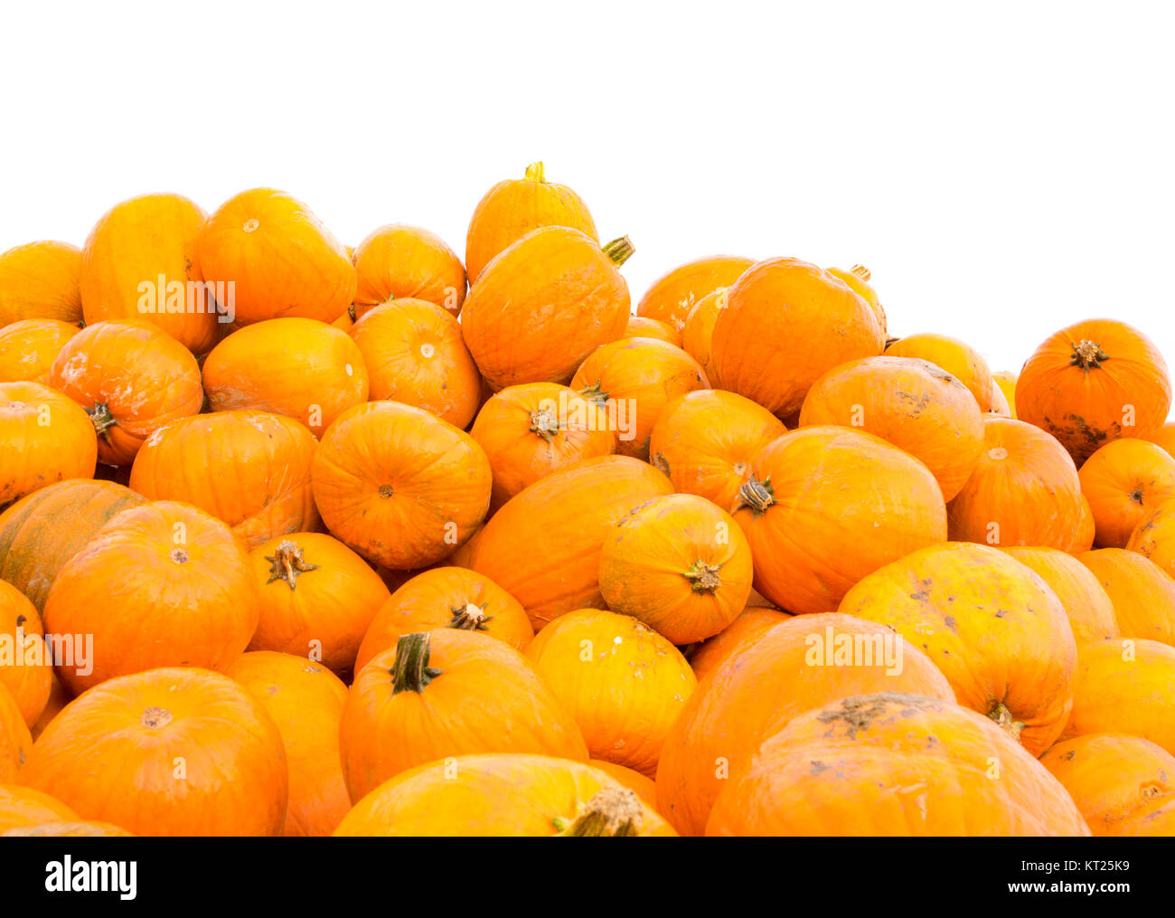 Pile of pumpkins background Stock Photo - Alamy