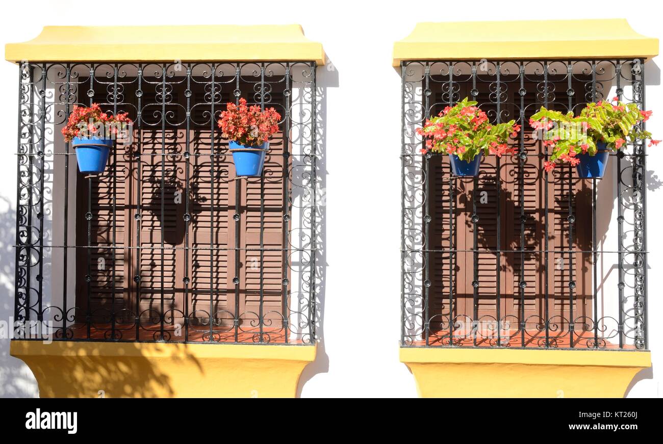 Blue Flower Pots On Black Grille Windows With Yellow Cornices In