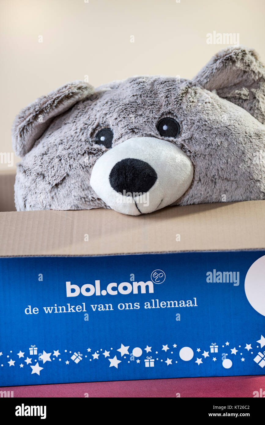 perzik stem Inhalen Cuddly bear / teddy bear present in open cardboard box bought at bol.com,  leading webshop in the Netherlands for books, toys and electronics Stock  Photo - Alamy