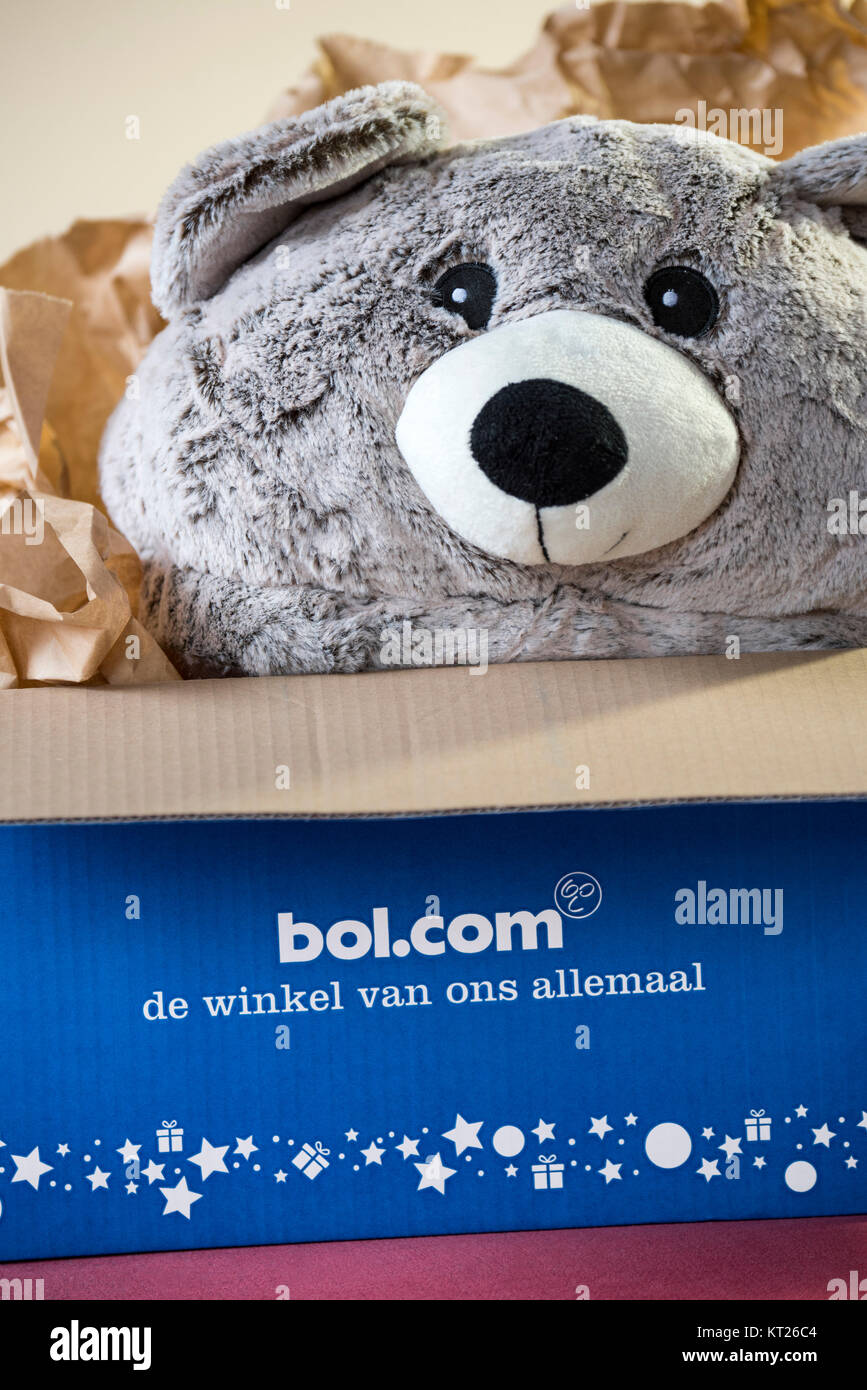 Cuddly bear / teddy bear present in open cardboard box bought at bol.com,  leading webshop in the Netherlands for books, toys and electronics Stock  Photo - Alamy